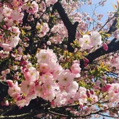 まゆ☆様専用！のサムネイル
