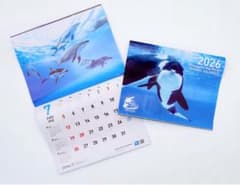 【定形外郵便】鴨川シーワールド　カレンダー　2026のサムネイル