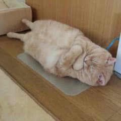 JIRO★プロフ必読様専用☆のサムネイル