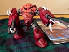 [Fully Painted] HG Amazing Z'GOK Char's custom color