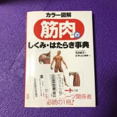 カラー図解筋肉のしくみ・はたらき事典のサムネイル