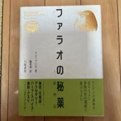 m27283554560_1.jpg?1718542710