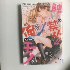 触るの禁止!!俺のモノ。/紫 よりいのサムネイル