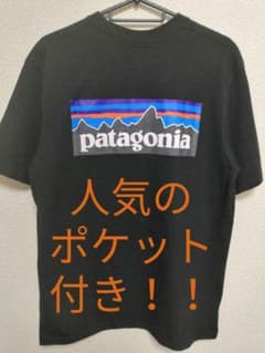 パタゴニア P-6ロゴ ポケット付きTシャツのサムネイル