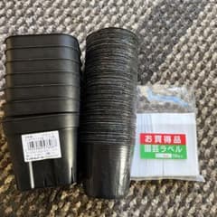鉢とラベルセット‼️のサムネイル
