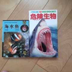 図鑑2冊セット 小学館NEOポケット 危険生物・海水魚のサムネイル