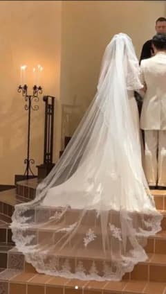 くみ様専用★ロングベール 3mのサムネイル
