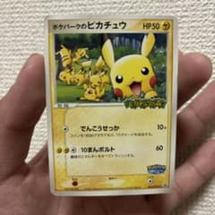 ポケパークのピカチュウ PROMO PCG-Pプロモカード 043/PCG-P - メルカリ