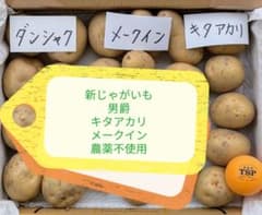 新じゃがいも 1.3㎏ 男爵 メークイン キタアカリ 農薬不使用 新鮮 愛媛 Tのサムネイル