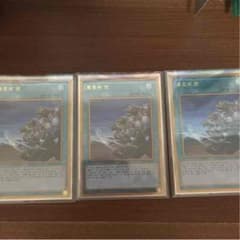 同胞の絆のサムネイル