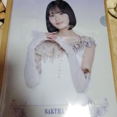 乃木坂46 遠藤さくら 14th YEAR BIRTHDAY A4クリアファイルのサムネイル