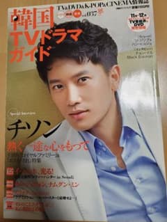 韓国TVドラマガイド vol.037 (チソン、イ・ミンホ、エリック、キム・ジ…のサムネイル