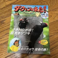 ダーウィンが来た！生き物新伝説 DVDブック NO.33〜48 - メルカリ