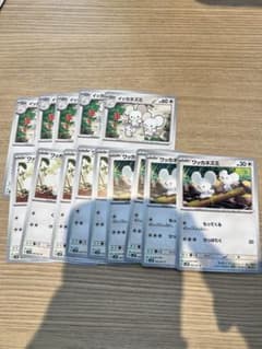 イッカネズミ　セット