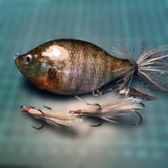 ゾーイ フレッシュベイトルアーズ 魚皮 - メルカリ