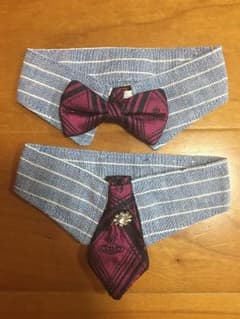 猫 かわいい首輪セットのサムネイル