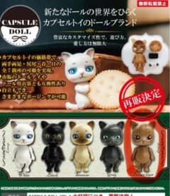カプセルドール 猫のサムネイル