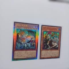 遊戯王 調和ノ天救竜 ハルモニア レリーフ アルティメットレア - メルカリ