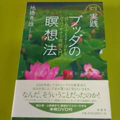 実践ブッダの瞑想法 : はじめてでもよく分かるヴィパッサナー瞑想入門 : DV…のサムネイル