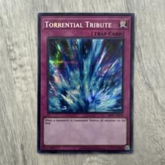 希少】遊戯王 泰亜版 アジア版 英語 激流葬 シークレットレア - メルカリ