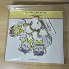 치이카와 히로아카 내 영웅 아카데미아 3연 아크릴 매력 올마이트