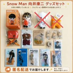 Snow Man 向井康二 すのチルソフビ他 まとめ売り たまゆきキーホルダー