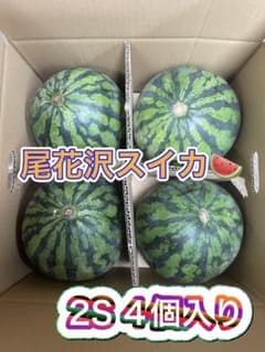 もぎたて！尾花沢スイカ 2S 4個入りのサムネイル