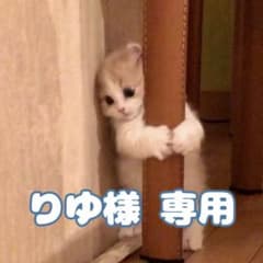 りゆ様 専用  ♡のサムネイル