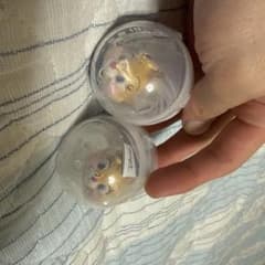 【最終値下げ】ディズニーキャラクター クラリス マスコット 2個セットのサムネイル