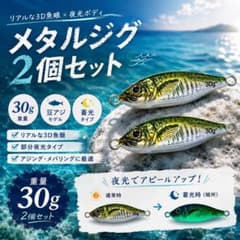 メタルジグ 30g 2個セット 夜光 蓄光 ジギング ルアー シーバス 夜釣りのサムネイル