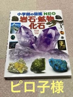 小学館の図鑑NEO 岩石・鉱物・化石（旧版）のサムネイル