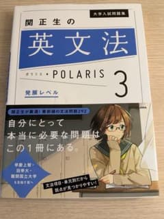 大学入試問題集 関正生の英文法ポラリス[3 発展レベル]のサムネイル