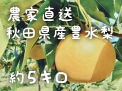 (14玉〜18玉豊水梨)約5kg★送料込★秋田県産のサムネイル