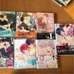 BL まとめ売り！ 有名作品多数！のサムネイル