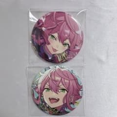 ⭕️あんスタ⭕️姫宮桃李缶バッジ21個 あんスタ 姫宮桃李 缶バッジ まとめ売り - メルカリ