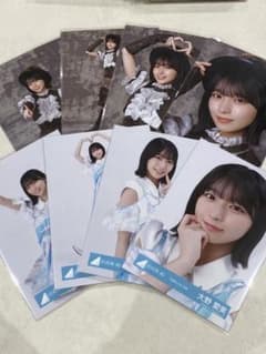 大野愛実 日向坂46 五期生ライブ ハロウィン 生写真 コンプ 8種 - メルカリ