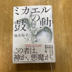 ミカエルの鼓動 柚月裕子のサムネイル