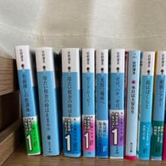セット】 辻村深月 小説シリーズ 16冊セット - メルカリ