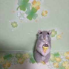 アイスを持ったジャンガリアンハムスターちゃん　ハンドメイド動物ぽんぽんのサムネイル