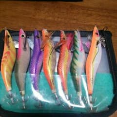 専用エギセットですのサムネイル