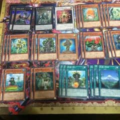 H.orihime様森羅デッキパーツ&植物デッキパーツのサムネイル