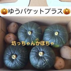 北海道産　坊ちゃんかぼちゃゆうパケットプラスサイズ　送料込のサムネイル