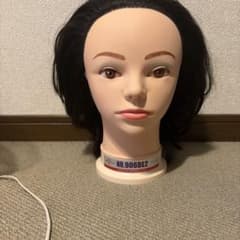 レジーナ NO.906DE2 国試用ウィッグのサムネイル