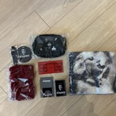 LADY GAGA VIP GOLD グッズ フルセットのサムネイル