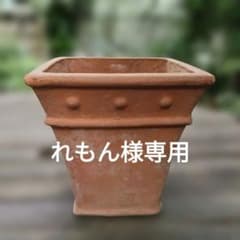 ジャンクガーデン　テラコッタ鉢　ドット柄　ワンダーデコール ジャンクガーデン テラコッタ鉢 ドット柄 ワンダーデコール - メルカリ