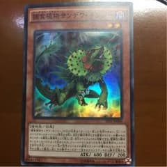 捕食植物 サンデウ・キンジー(おまけ付き)のサムネイル