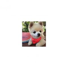 sinceさまのサムネイル