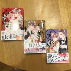 ラム子さん専用！極婚～超溺愛ヤクザとケイヤク結婚!?～ 1.2.3のサムネイル