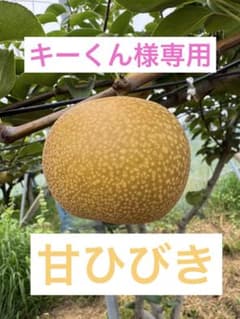 ⚠️キーくん⚠️茨城県産　梨/甘ひびき　家庭用/3キロ　数量限定！　⭐︎希少品種 ⚠️キーくん様専用⚠️茨城県産 梨/甘ひびき 家庭用/3キロ 数量限定