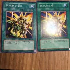 我が身を盾にのサムネイル